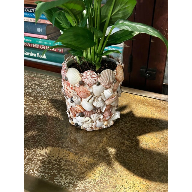 Peach Contemporary Coastal Grotto Shell Encrusted Planter or Cache Pot For Sale - Image 8 of 11