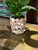 Peach Contemporary Coastal Grotto Shell Encrusted Planter or Cache Pot For Sale - Image 8 of 11