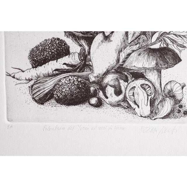 Modern Angela Occhipinti, Wood Pigeons with Black Pigeons from Norcia: Author's Proof, 1950, Engraving For Sale - Image 3 of 4