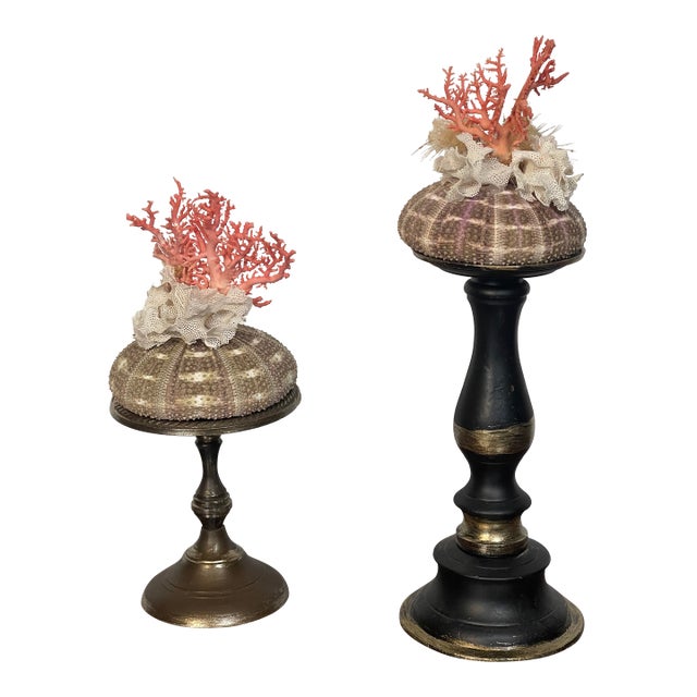 1970s Pair Ted Mediterranean Coral Branches on Urchins Assemblage For Sale