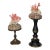 1970s Pair Ted Mediterranean Coral Branches on Urchins Assemblage For Sale