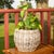 2020s Artifacts Rattan Round Belly Planter with Black Plastic Insert, Natural, 13" For Sale - Image 5 of 9