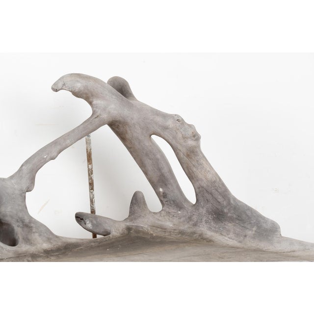 Mid 20th Century Mid Century Organic Teak Root Large Bench For Sale - Image 5 of 14