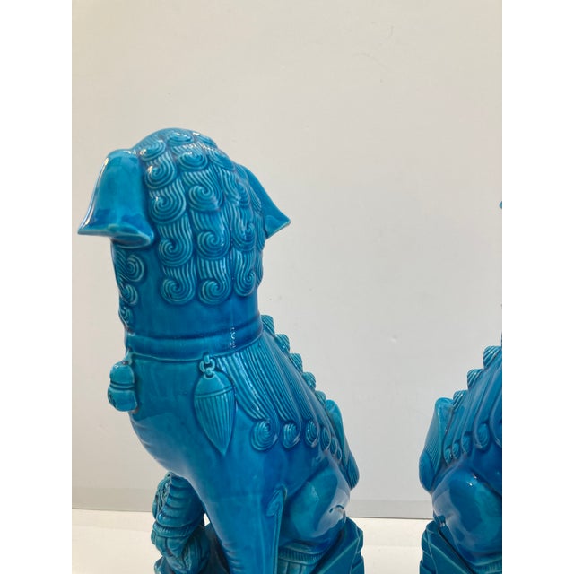 Turquoise Glazed Porcelain Foo Dogs Large - A Pair For Sale - Image 9 of 11