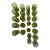 24-Piece Vintage Olive Green Mid-Century Glass Tumbler Set | Iced Tea, Water, Juice & Double Old Fashioned Glasses For Sale