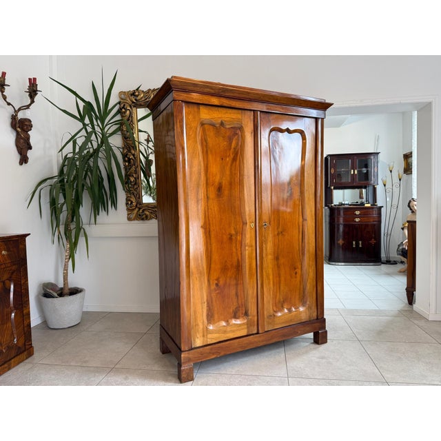 Original Biedermeier Wardrobe in Walnut Veneer with Clothes Rail For Sale - Image 6 of 10