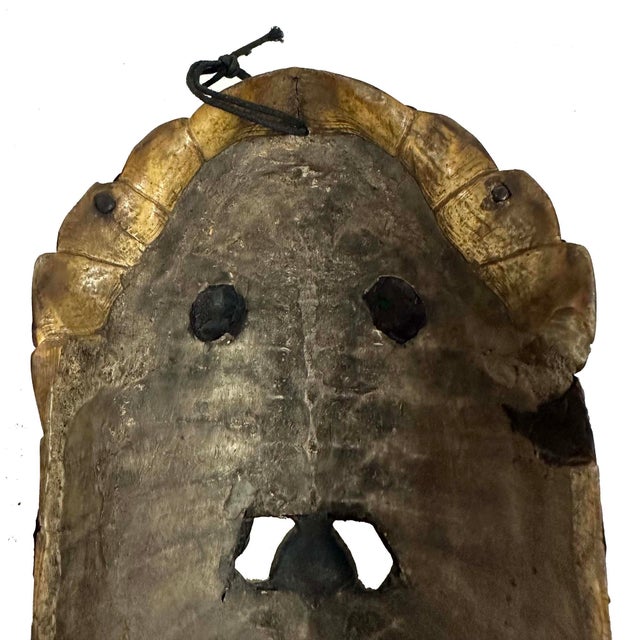 Early 20th Century Tibetan Buddhist Kapala Turtle Shell Ritual Mask For Sale - Image 12 of 13