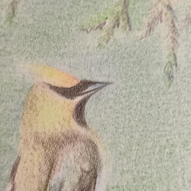 Cedar Waxing Birds Giclee Print Tamlyn Akins Soft Pastel Colors Mat Framed 13x17 For Sale In Austin - Image 6 of 16