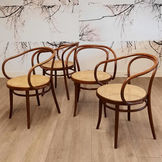 The design of the Vienna nr. 9 / 209 chair dates from 1900. It was a favorite of many famous architects/designers like Le...