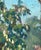 Realism Vintage Summer Landscape Oil Painting, Ukrainian Impressionism, 1970s 39-30 For Sale - Image 3 of 6