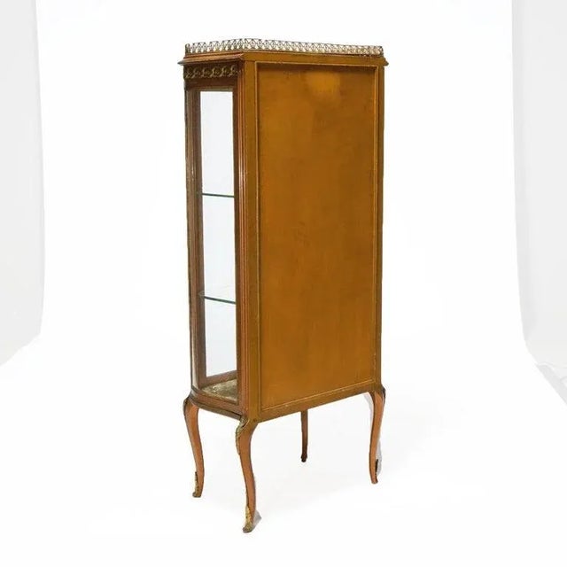 Wood Antique French Louis XV Giltwood, Ormolu & Mirrored Display Vitrine Circa 1890 For Sale - Image 7 of 12