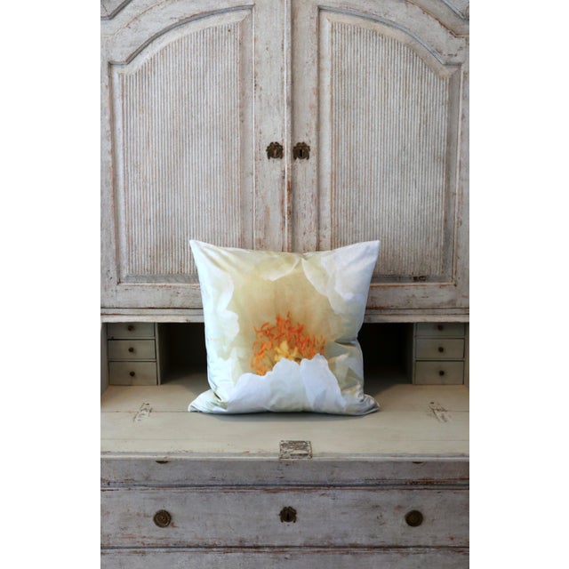 White Tree Peony Bloom in Rodin Museum Garden Paris Photo Pillow For Sale - Image 9 of 13
