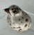 Alabaster Ceramic Figurine of a Seagull Chick by Anderson Design Studio of Maine For Sale - Image 8 of 9