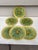 French Set of 6 French Majolica Palm Plate Sarreguemines, Circa 1870 For Sale - Image 3 of 4