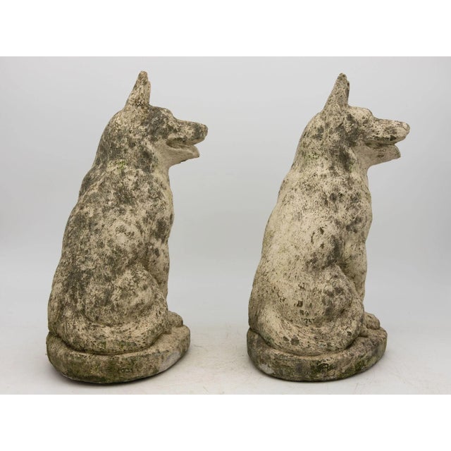 English Pair of Concrete Shepherd Dogs, English Mid 20th Century For Sale - Image 3 of 9