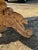 A Masterpiece 18th Century French Country Bleached Oval Dining Table or Center Table For Sale - Image 6 of 18