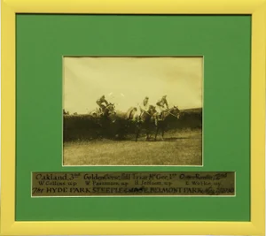 "The Hyde Park Steeplechase" Photograph
