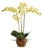 Phalaenopsis Orchid Drop-In 30" For Sale
