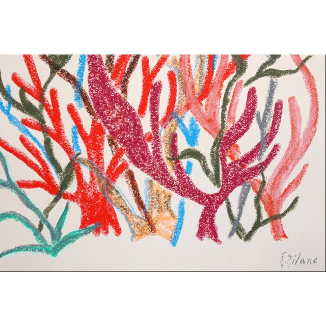 2025, Colorful Marine Vegetations, Large Diptych Coral Reef, Gouache Crayon on Watercolor Paper by Romina Milano- Set of 2 For Sale In Miami - Image 6 of 9