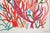 2025, Colorful Marine Vegetations, Large Diptych Coral Reef, Gouache Crayon on Watercolor Paper by Romina Milano- Set of 2 For Sale In Miami - Image 6 of 9