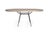 Mid Century Hammered Textured Base With Reclaimed Elm Table Top For Sale In Dallas - Image 6 of 6