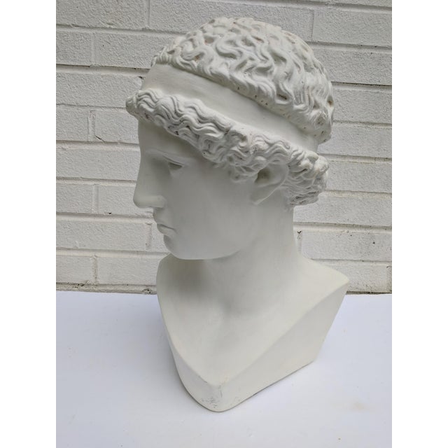 Large Greek Adonis Bust Chairish