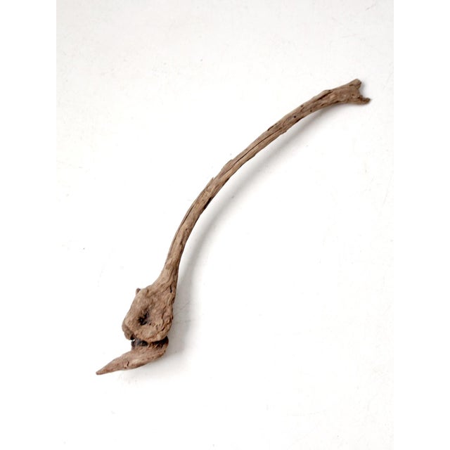 Brown Vintage Natural Driftwood Sculpture Organic Modern Display Wood For Sale - Image 8 of 12