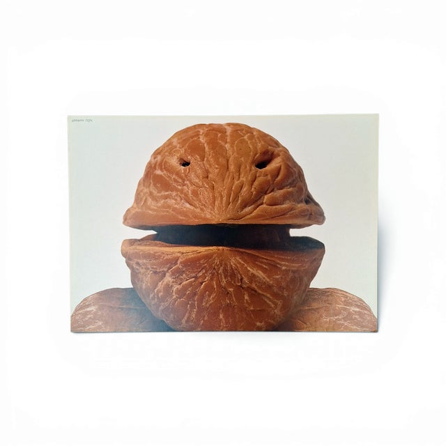 Testa Armando, Nocero Umbro, 1991, Silkscreen For Sale - Image 6 of 6