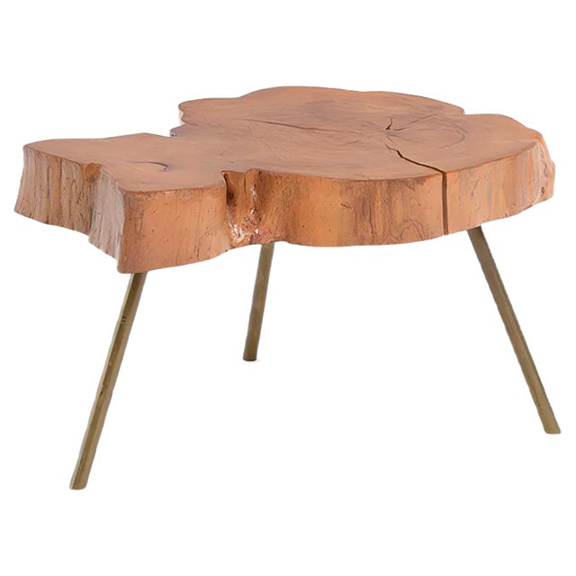 Tree Trunk Coffee Table For Sale