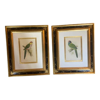 A Pair of 19th Century English Birds Set in Handmade French Frames For Sale