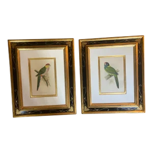 A Pair of 19th Century English Birds Set in Handmade French Frames