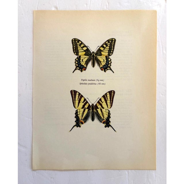 Up for sale is this gorgeous lithograph by F. Prochazka, published in Great Britain in 1965. It is in excellent, gently-...