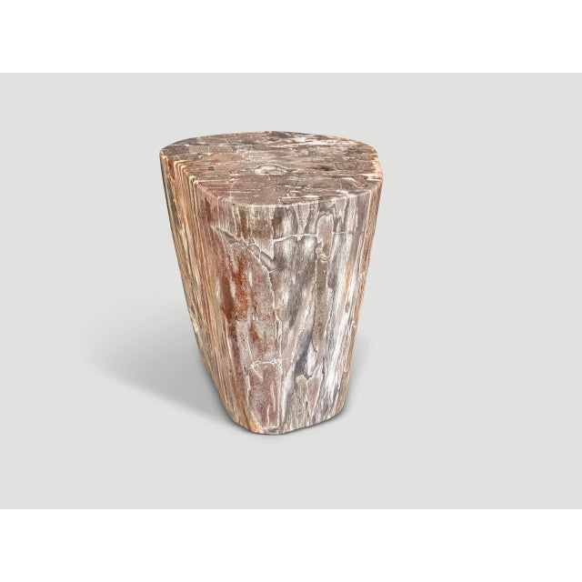 Andrianna Shamaris Coral Toned High Quality Petrified Wood Side Table For Sale - Image 4 of 5