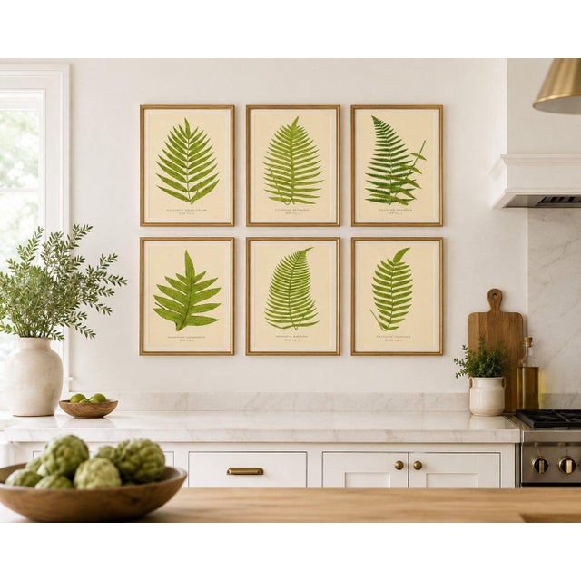 E.J. Lowe, Tropical Fern Lithograph Collection, 1856, Paper, Set of 6 For Sale - Image 9 of 10