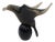 Black Murano Glass Bird Statue by Lucio Zanetti, 1980s For Sale