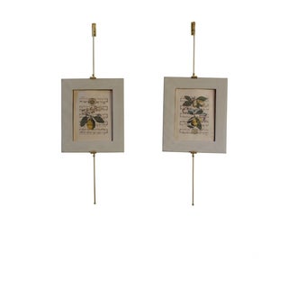 Annette Frame, Paper Mache For Sale