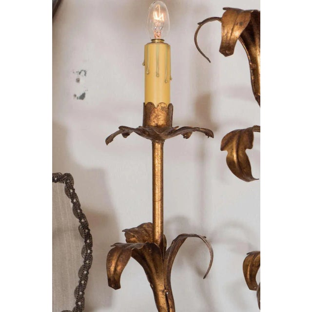 Large 1950s Italian Gilt Iron Floral Sconces - a Pair For Sale - Image 4 of 12