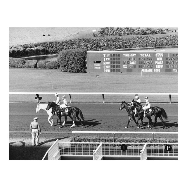 1970s Horse Racing Photograph by Don Ware For Sale