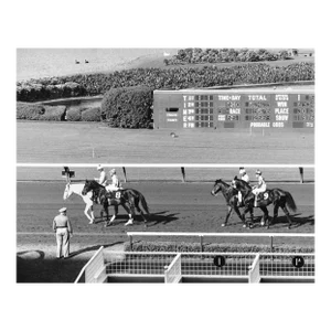 1970s Horse Racing Photograph by Don Ware