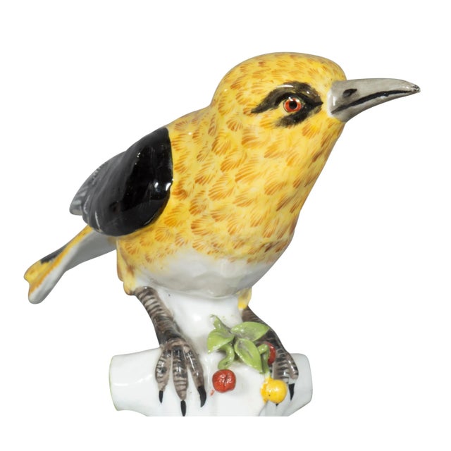 Ceramic European Porcelain Figures of Sunbirds - A Pair For Sale - Image 7 of 13