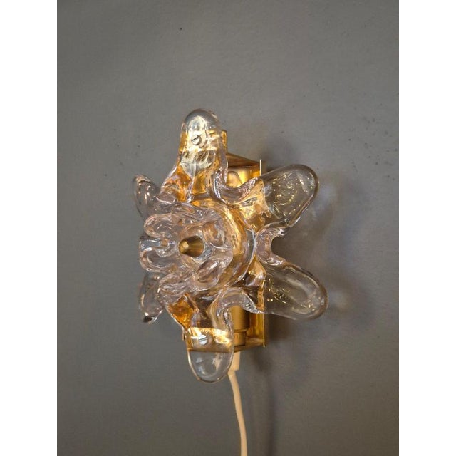 Mid-Century Flower Wall Sconces in Glass and Brass, 1960s, Set of 2 For Sale - Image 3 of 6