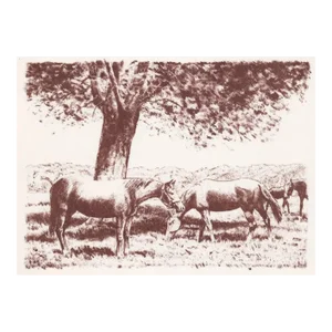 1980s Equestrian Lithograph