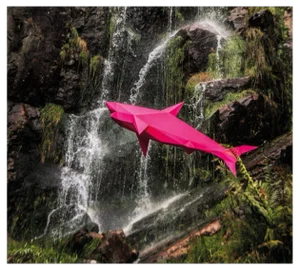 Liam Hopkins, Flying Shark 03, Photographic Print