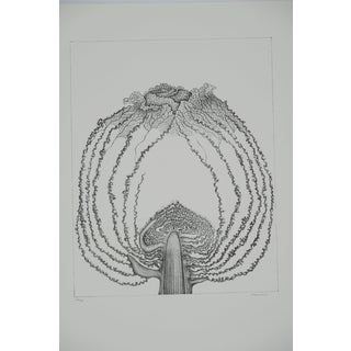 Gochka Charewicz, Le chou, Lithograph For Sale
