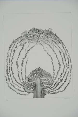 Gochka Charewicz, Le chou, Lithograph