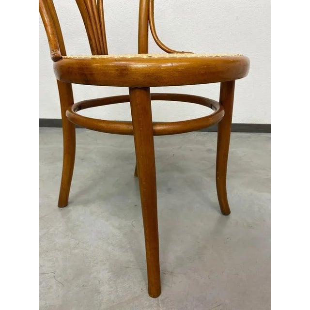 Bentwood Dining Chair by Löbl Wieisskirchen, 1890s For Sale - Image 6 of 12