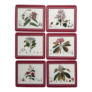 English Botanical Placemats-Set 6-Pimpernell For Sale