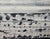 Black 18.9" by 14.2" Emotional Topography — Horizon (No. 1) - Original Black and White Abstract Seascape, Oil Painting / Abstraction - Unframed For Sale - Image 8 of 13
