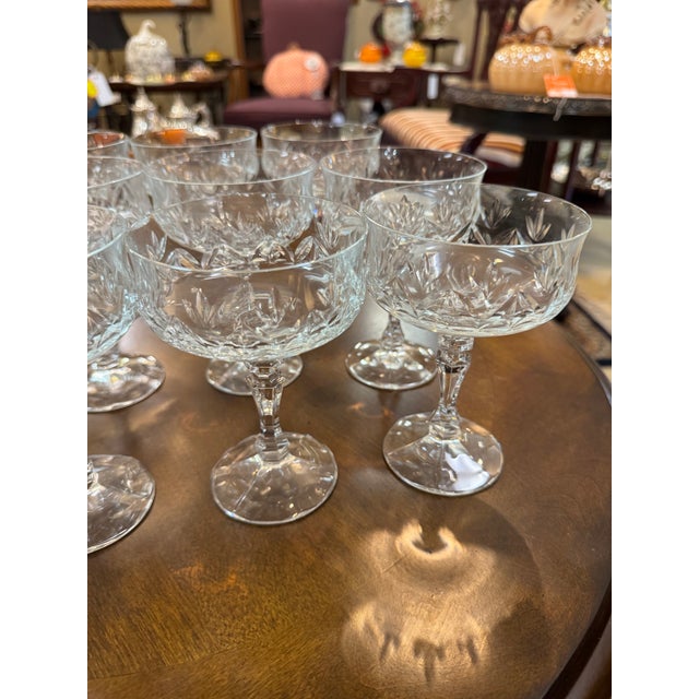 Vintage Champagne/Tall Sherbet Antoinette by Schott-Zwiesel Set of 12 For Sale - Image 4 of 17