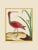 Illustration Shore Bird Grouping by Martinet Blue and Pink Giclee Reproductions For Sale - Image 3 of 11